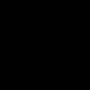 Meet your Posher, Evan